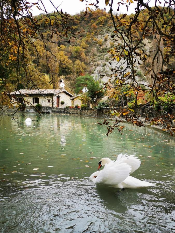 Pianpieve Nature & Relax Apartments Асизи Екстериор снимка