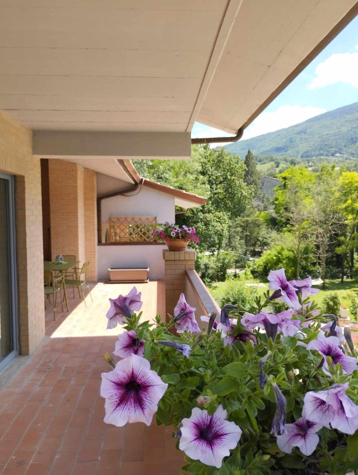 Pianpieve Nature & Relax Apartments Асизи Екстериор снимка